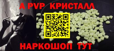 скорость Кингисепп