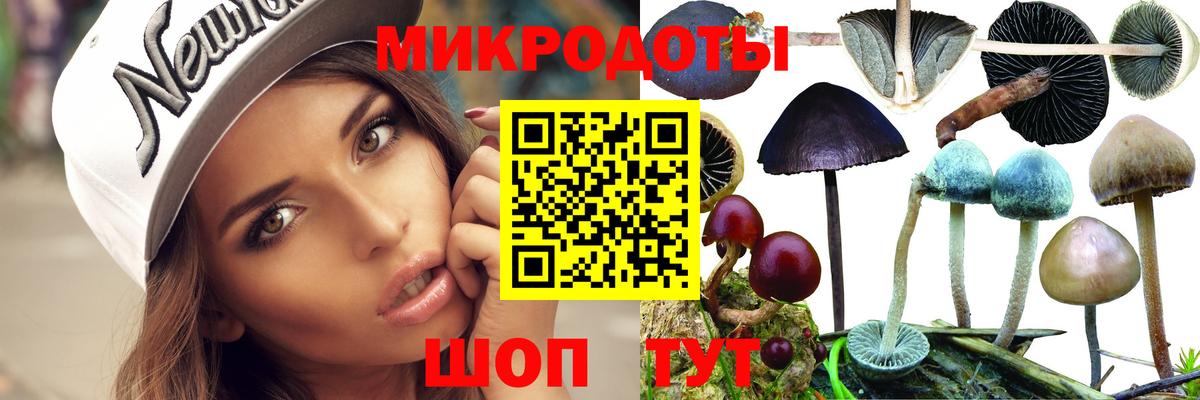 Псилоцибиновые грибы Magic Shrooms  Вход с VPN  Коряжма 